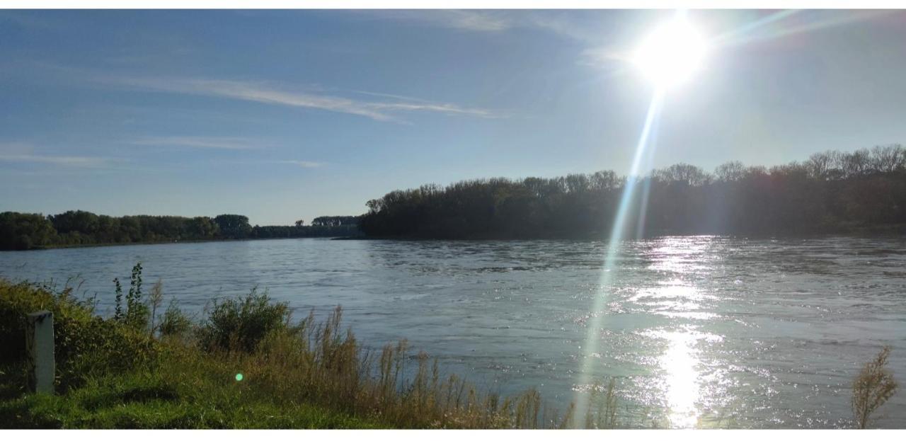Urlaub Am Rhein Speyer Hockenheim Daire Altlussheim Dış mekan fotoğraf